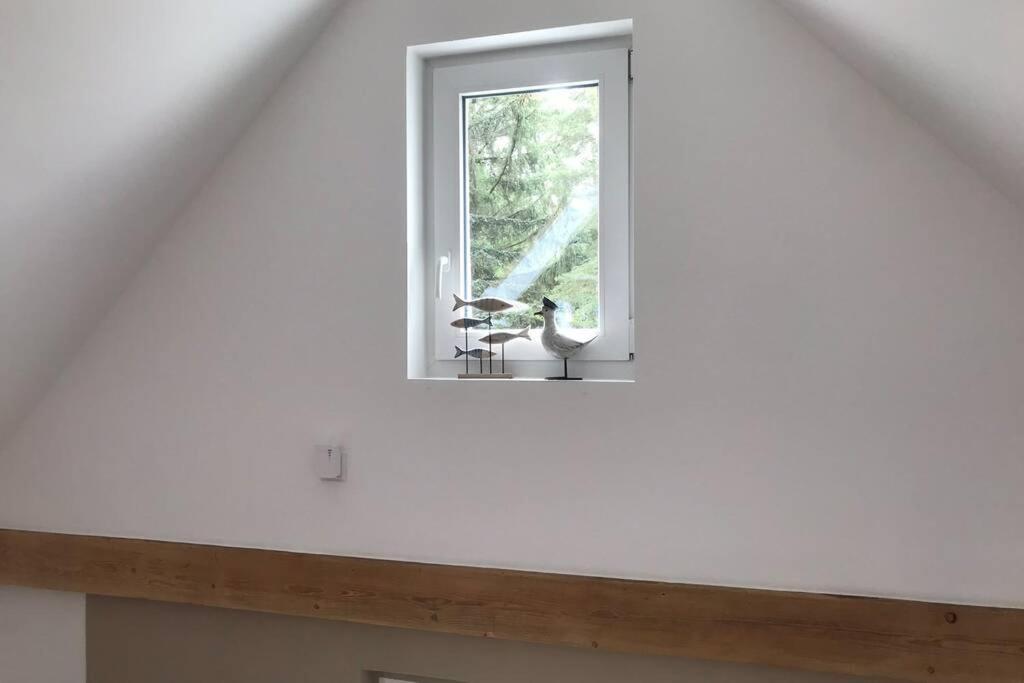 באבה Ferienhaus Im Igelbau מראה חיצוני תמונה