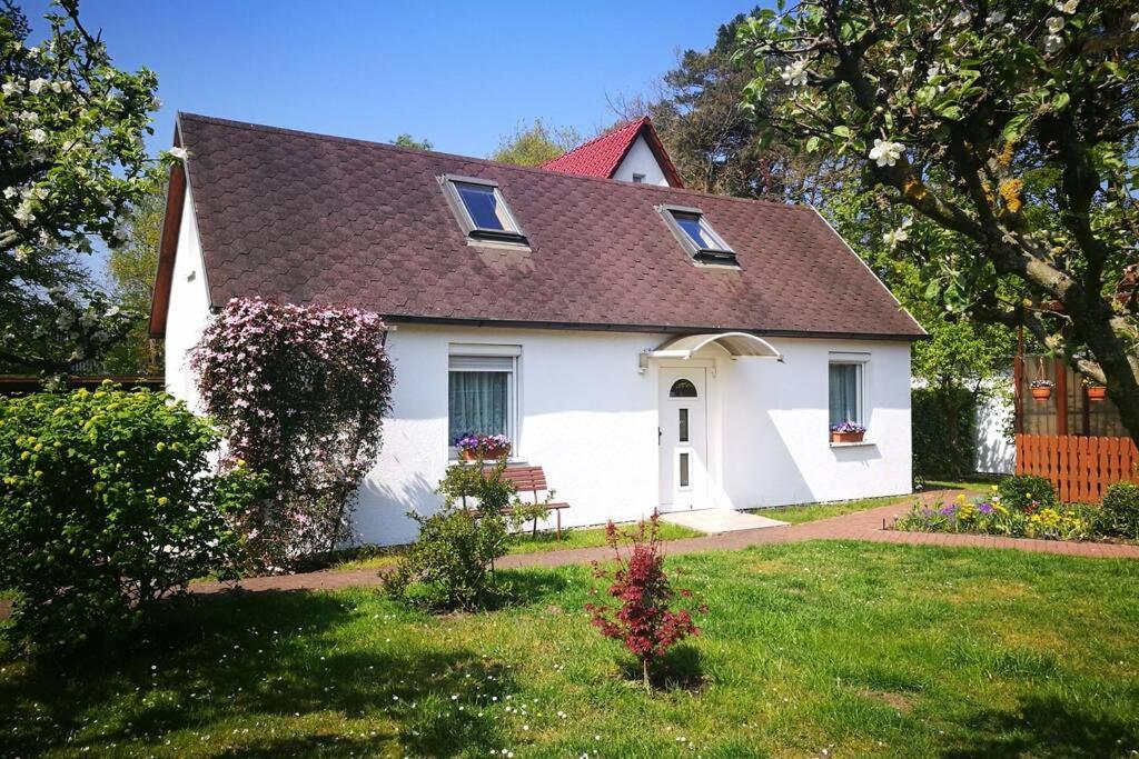 באבה Ferienhaus Im Igelbau מראה חיצוני תמונה